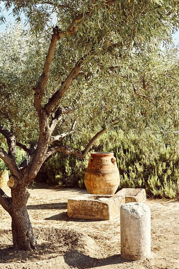 Nikolaou Art Residence Aegina Екстериор снимка