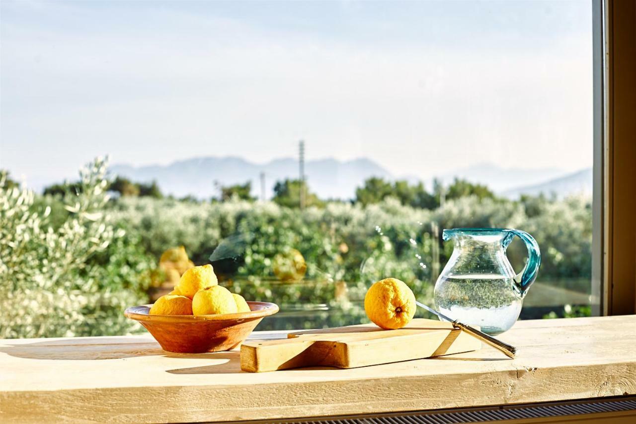 Nikolaou Art Residence Aegina Екстериор снимка
